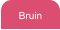 Bruin