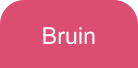 Bruin